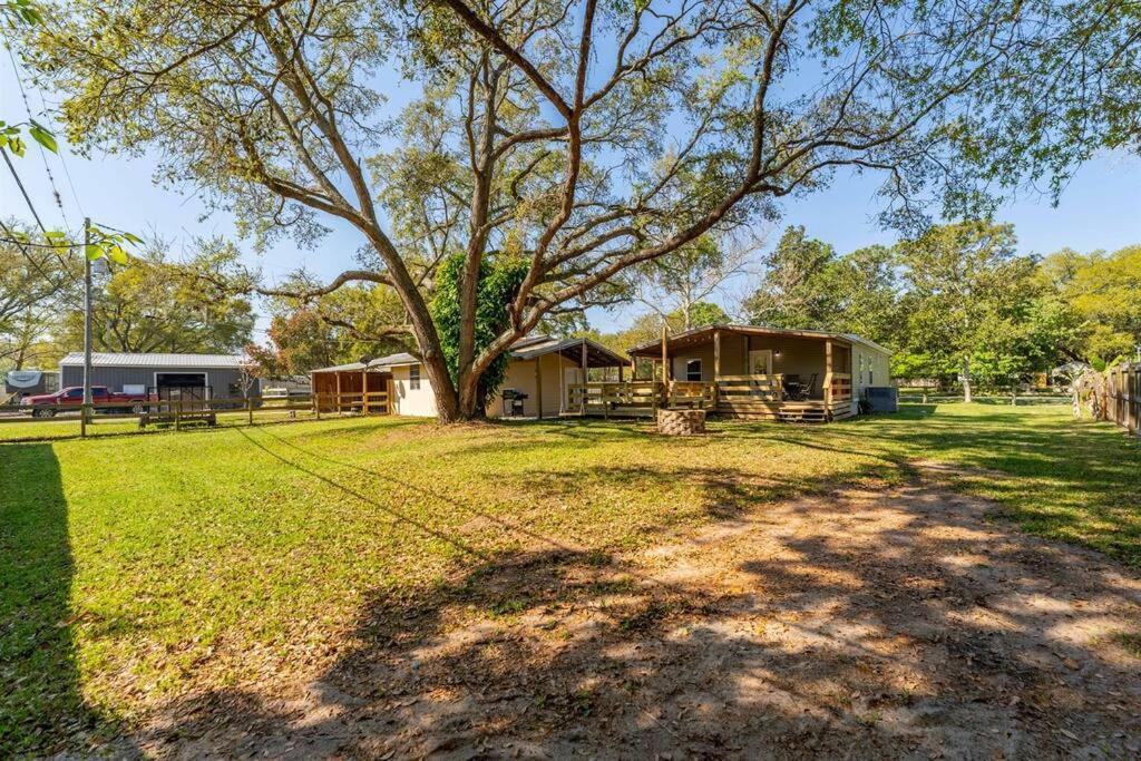 Country Comfort Firepit, Games, Bbq Dog Breeds * St. Augustine