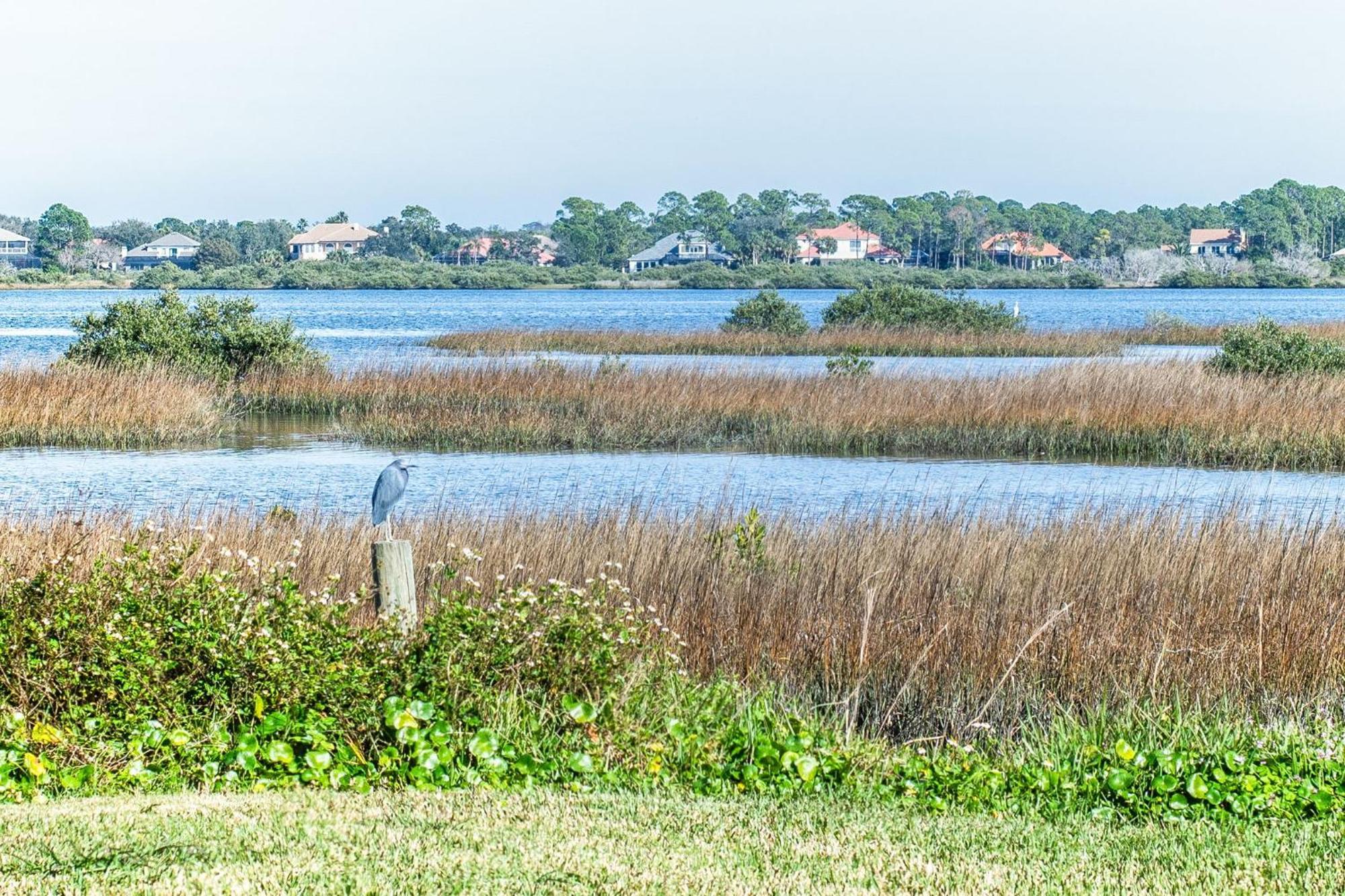 Holiday home Sunny Retreat Near Downtown & Beaches