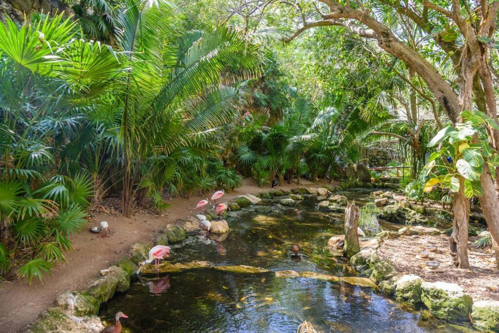 New Enchanting Retreat By Marina, 1mi To Downtown And A Short Drive To