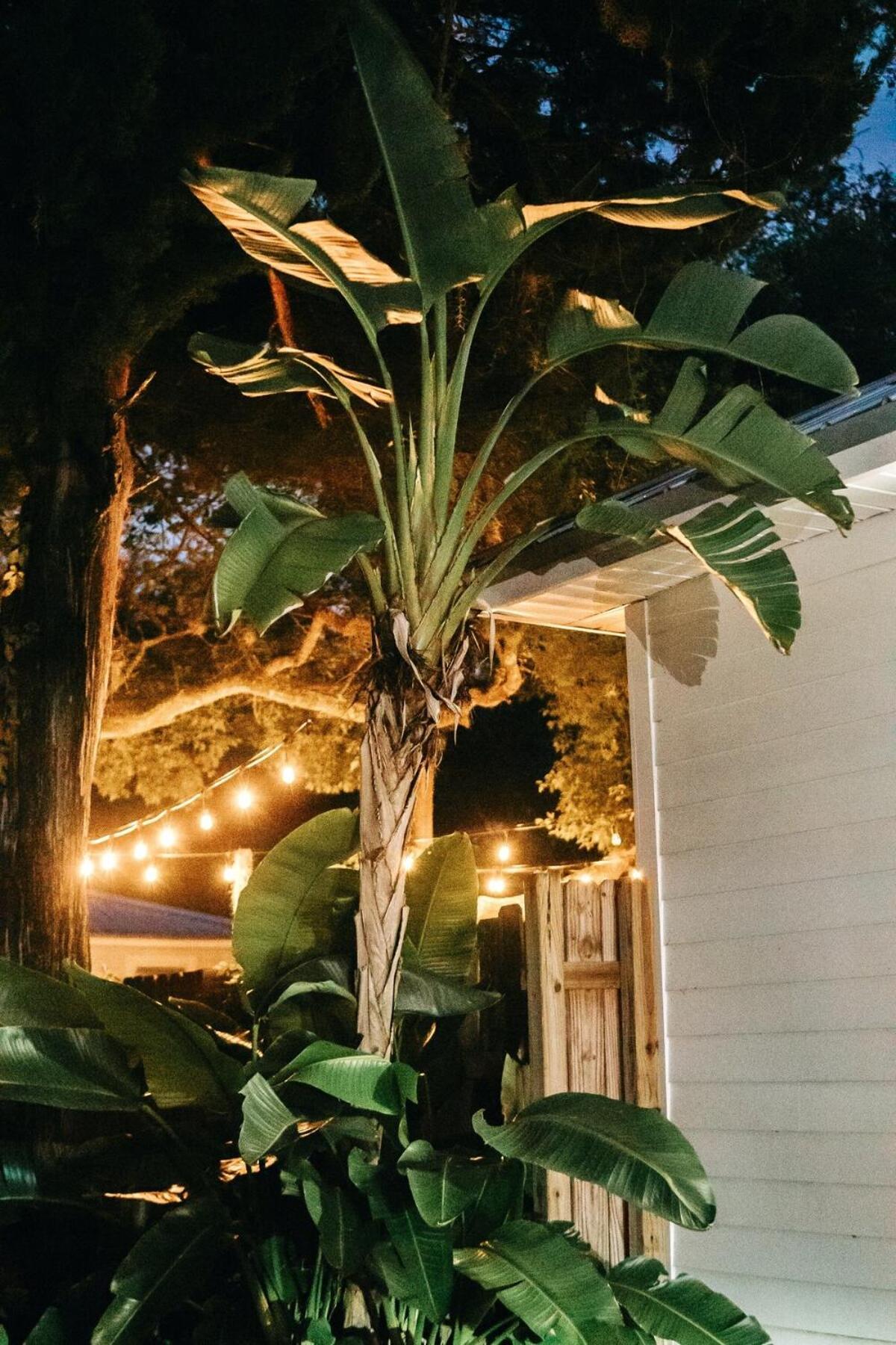 New Coastal 3br Retreat - 1 Mile To Historic Downtown, Short Drive To Beach, Waffle Bar And Patio Holiday home St. Augustine