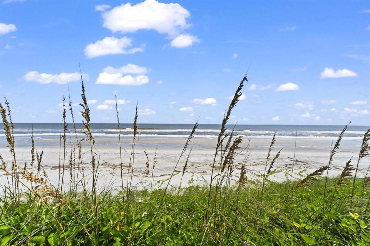 Oceanfront Oasis House - Pet Friendly Holiday home