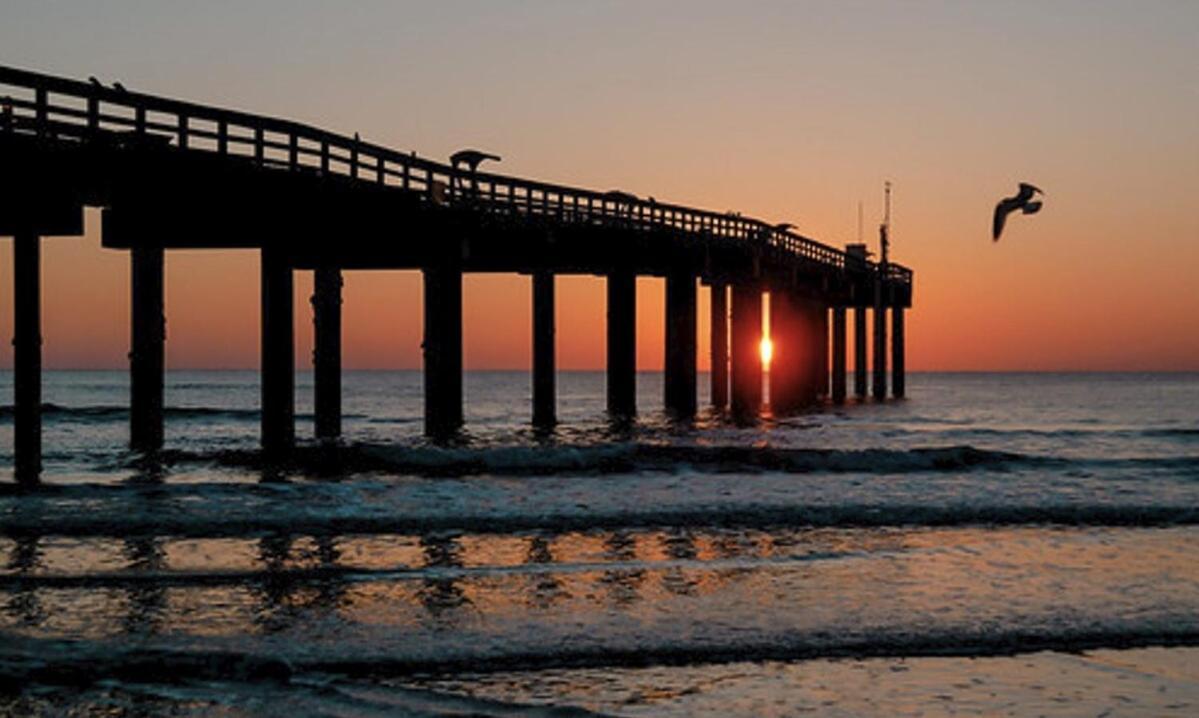 Sun & Fun Oceanfront Beach!