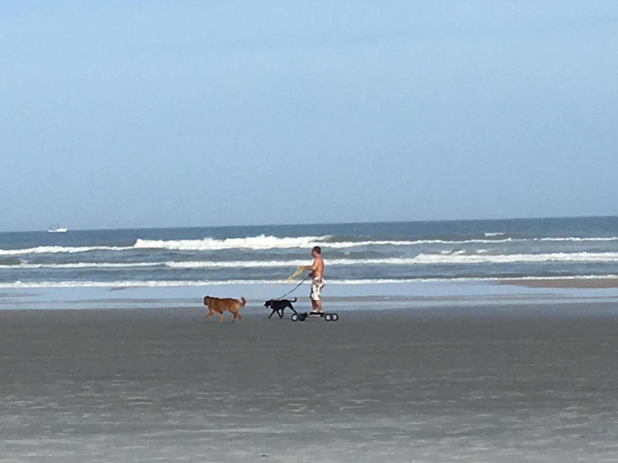 Holiday home Dog-friendly 4br Coastal Getaway Close To *