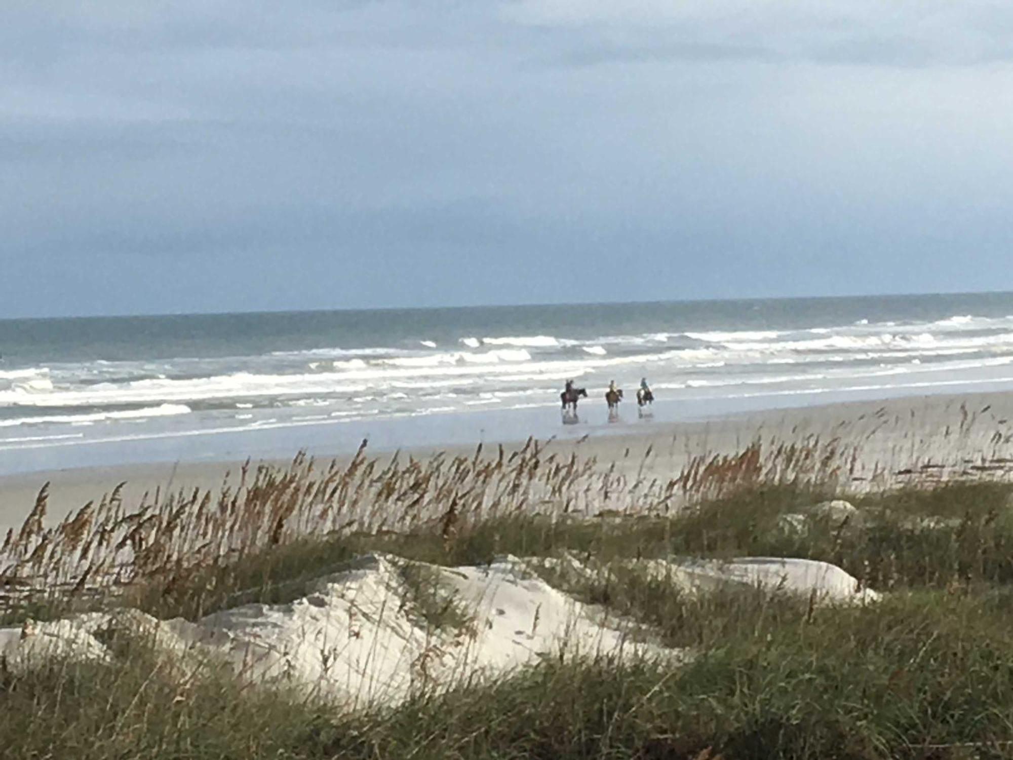 Dog-friendly 4br Coastal Getaway Close To Holiday home *