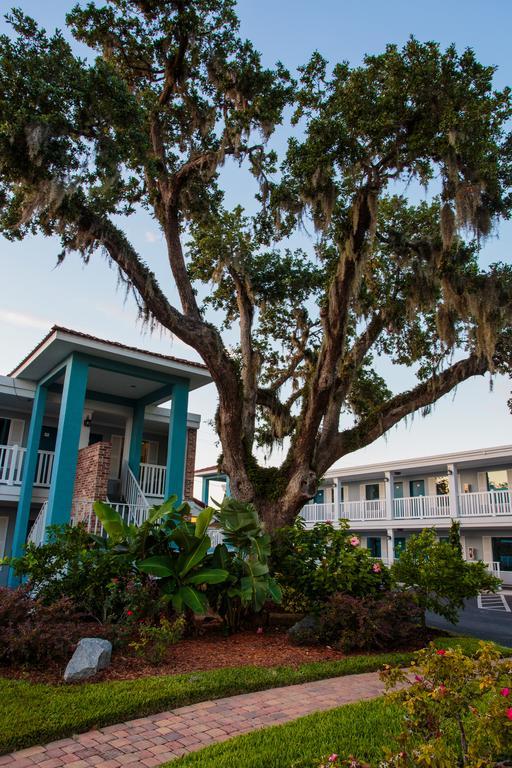 Southern Oaks - 3* St. Augustine
