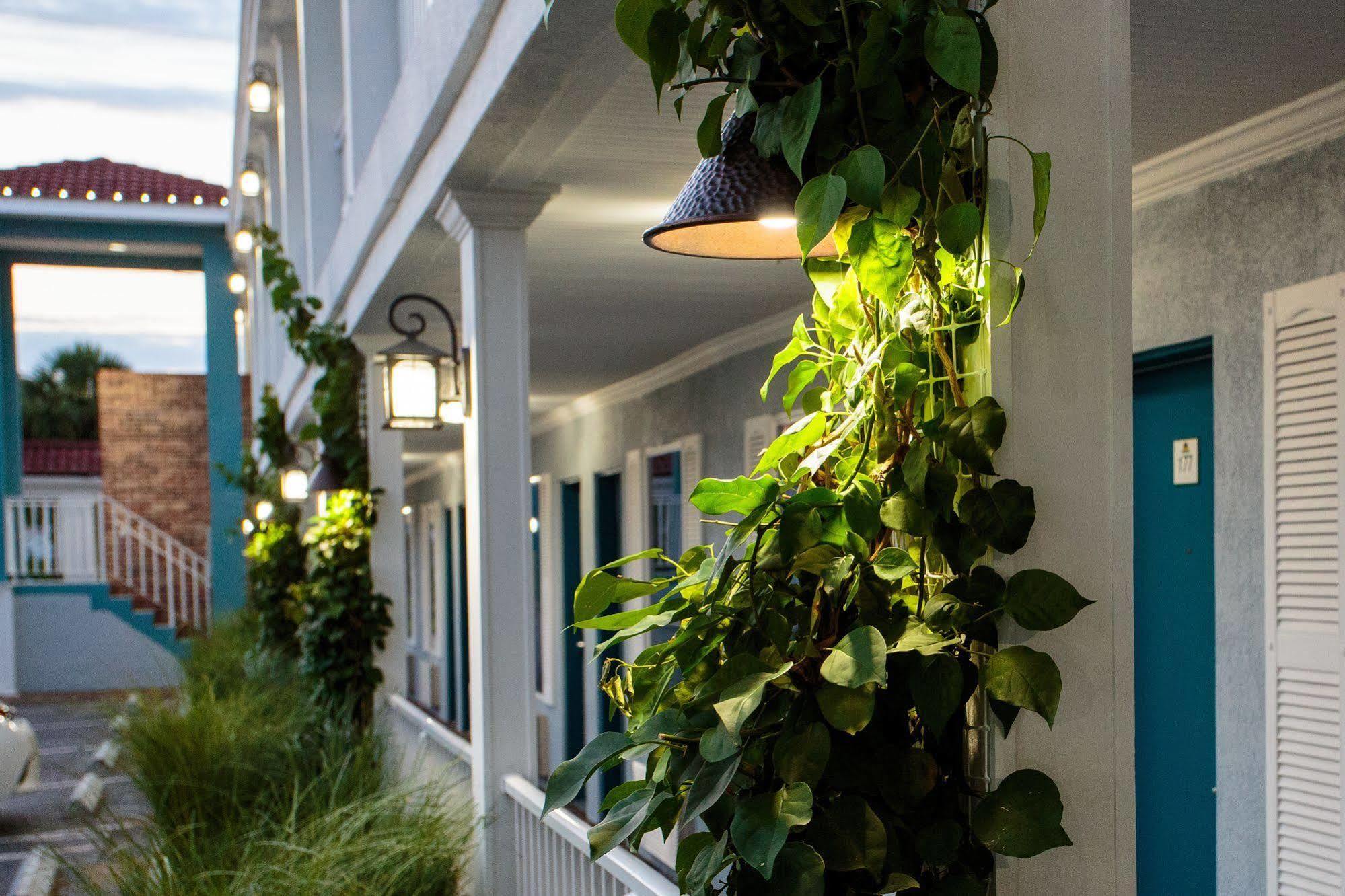 Motel Southern Oaks - St. Augustine
