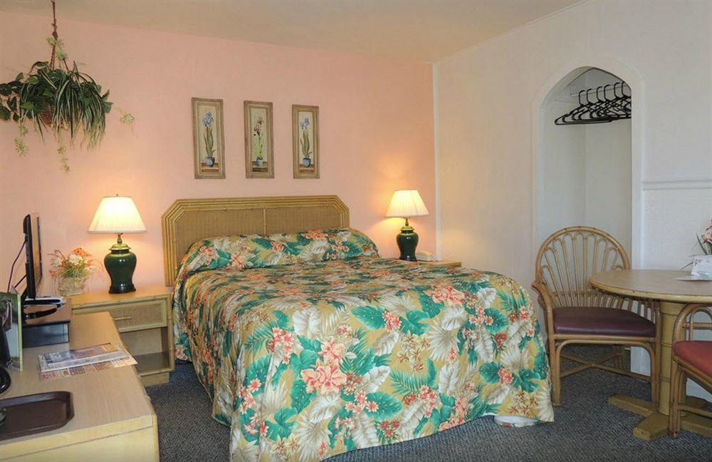 The Cozy St. Augustine