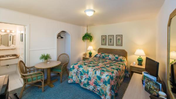 Motel The Cozy