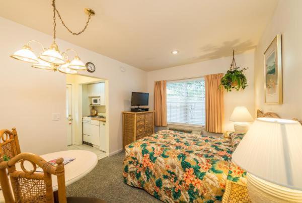 The Cozy 2*