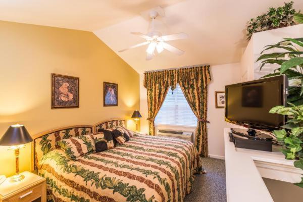Motel The Cozy Saint Augustine