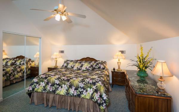 Motel The Cozy St. Augustine