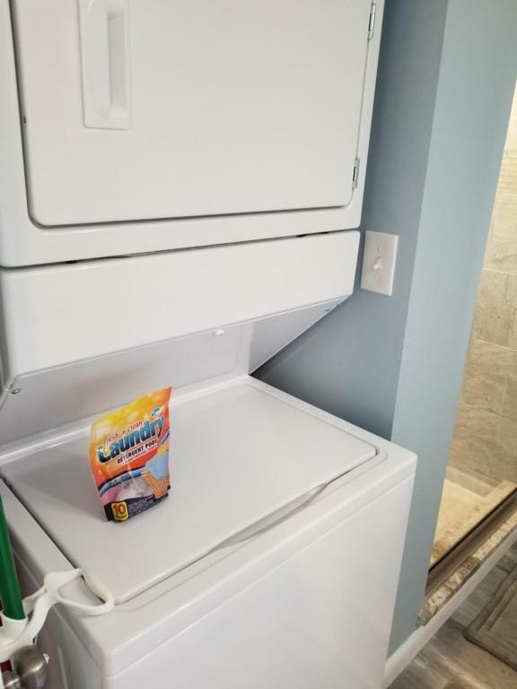 Pet Friendly Beachside Apartment