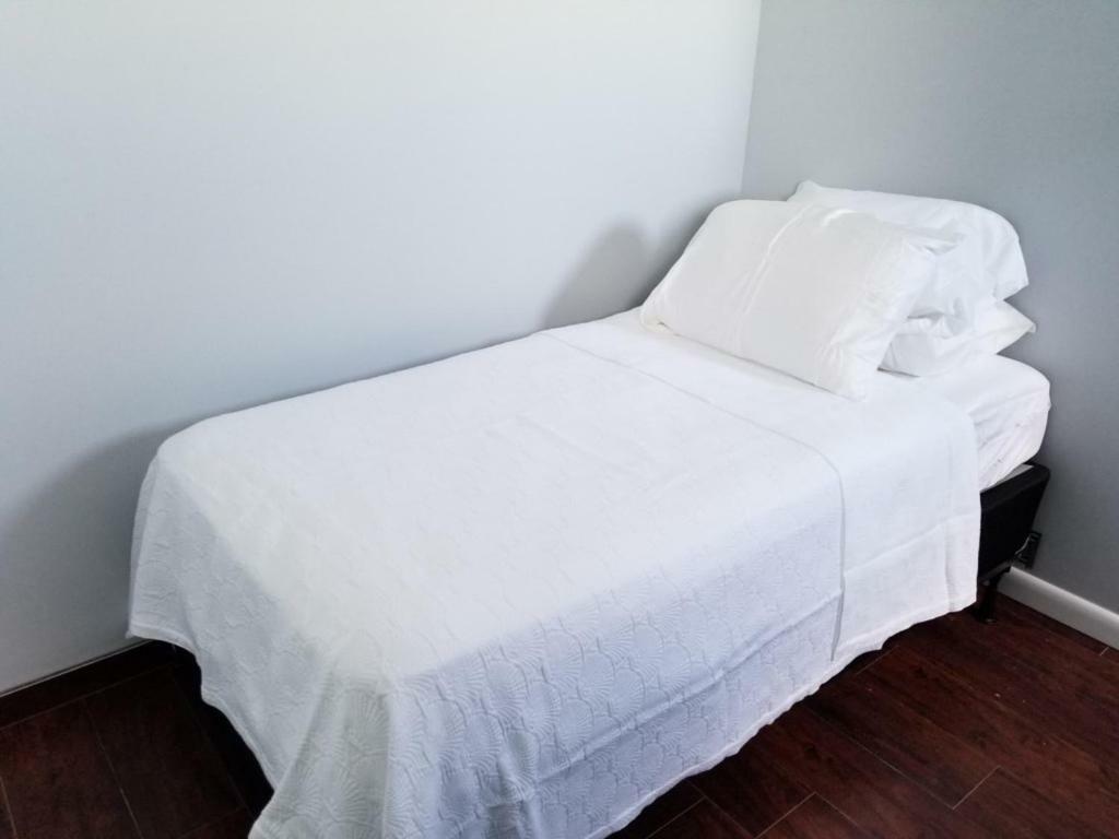 Apartment Pet Friendly Beachside St. Augustine
