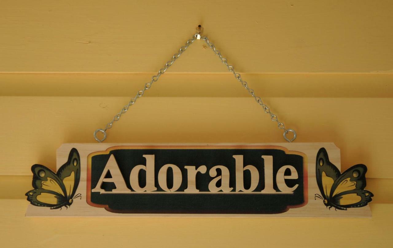 Adorable Historic Downtown Apartment