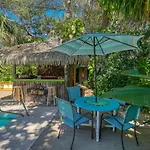 Tiki Nest