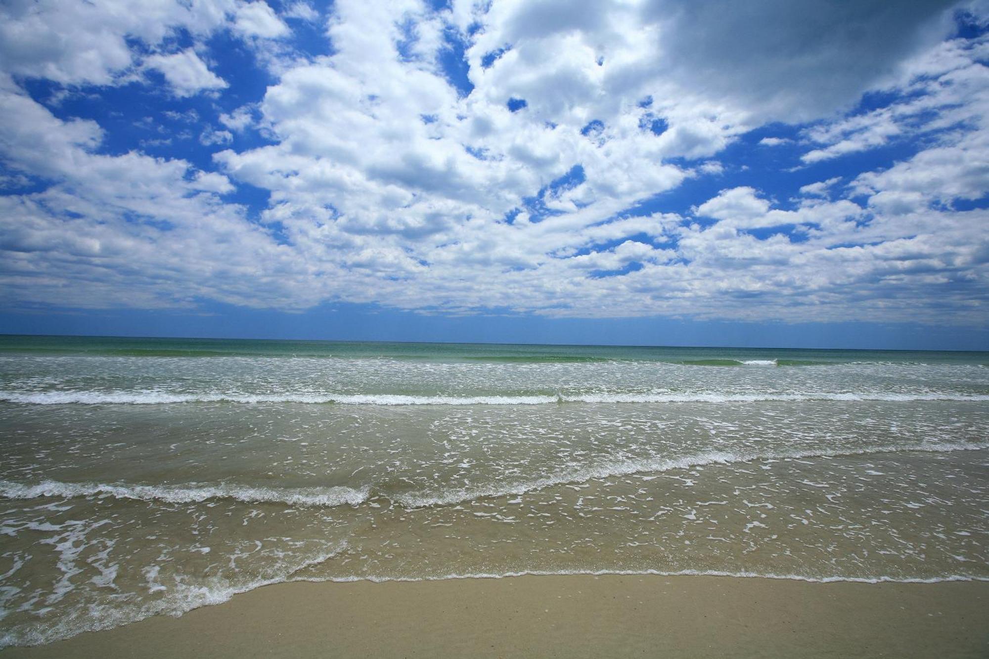 Hotel Guy Harvey On